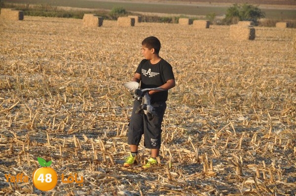 7amam lud monir 908 (32).JPG